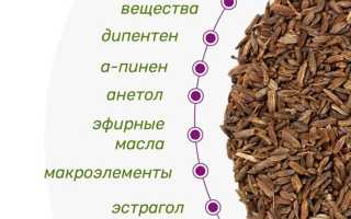 Семена фенхеля — подробное описание пользы для здоровья