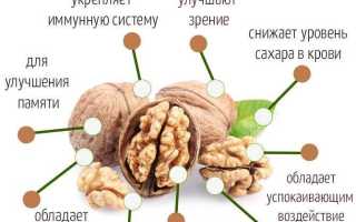 Грецкий орех польза и вред для организма