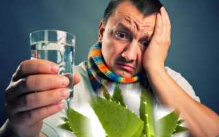 10 рецептов с алоэ для иммунитета