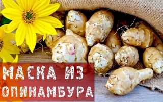Маски с топинамбуром