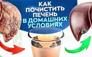 Чистка печени в домашних условиях
