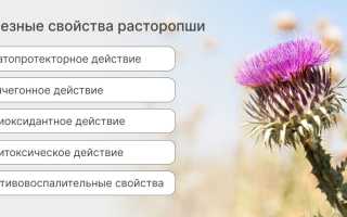 Семена расторопши лечебные свойства