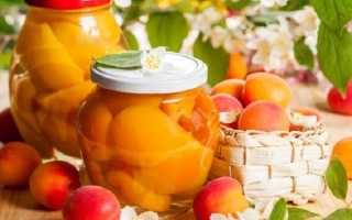 Заготовки из абрикосов