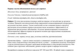 Полезные свойства корицы