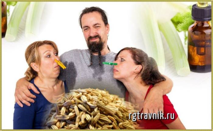 фехель от дурного запаха тела