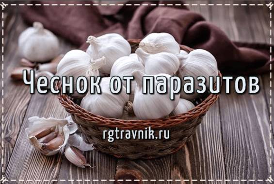 чеснок для очищающей клизмы
