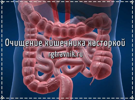кишечник после очищения касторкой
